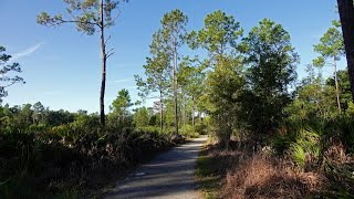 Discover Florida Gator Creek Reserve