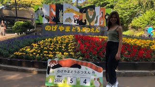 FREE ZOO IN JAPAN - Exploring Nogeyama Zoo | Chriselle Plata