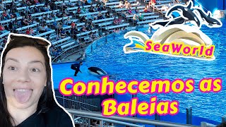 CONHECEMOS O SEAWORLD🐳 │ PARQUE LINDO, MOSTREI TUDO PRA VOCÊS❤