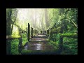 Jungle sound effect | Royalty Free | Useful for video & game editing | Effecternative