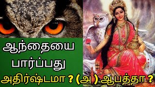 வீட்டில் ஆந்தை வந்தமர்ந்து குரல் எழுப்பினால் பலனா, பரிகாரமா| எந்த திசையில் பார்ப்பது நன்மை