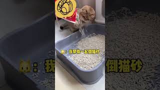 养猫千日 用猫一时#沙雕猫咪的日常 #猫咪的迷惑行为 #萌宠表情包大赏 #我和我的猫#萌宠出道计划