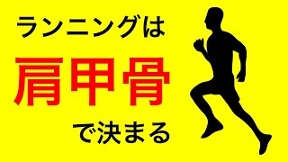 【間違えている人が多い】ランニングの腕振りで肩甲骨が大事な理由