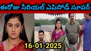 Paape Maa Jeevana Jyothi Serial Today Episode 16-01-2025 Full Video