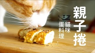 貓咪蛋料理系列，蛋捲吃蛋捲！【貓副食食譜】好味貓廚房EP36