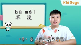 Chinese Learning《“不”和“没”的区别》| HSK Standard | Basic Chinese for Little Kids