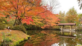 Japan Walk - Autumn in Japan - 大本本部みろく殿 || Ayabe - Kyoto