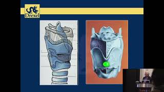 2024 Tutorials Part 1a: Anatomy \u0026 Physiology of the Voice: An Overview