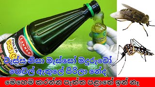 වැස්ස නිසා ගෙදර මැස්සෝ මදුරුවෝ හැමතැනම  නේද?මේ විදිහට කරන්න.පැත්ත පළාතෙ එන් නෑ/ ged rid mosquito