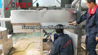 1 MT Per Hour Fully Automatic Raisin Washing and Drying Line