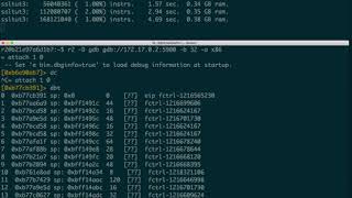 Debugging a PANDA session with radare2