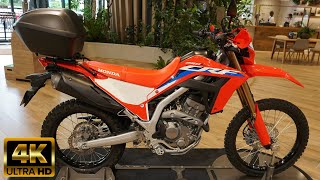 NEW 2021 HONDA CRF250L - New Honda CRF250L 2021 - 新型ホンダ CRF250L 2021年モデル