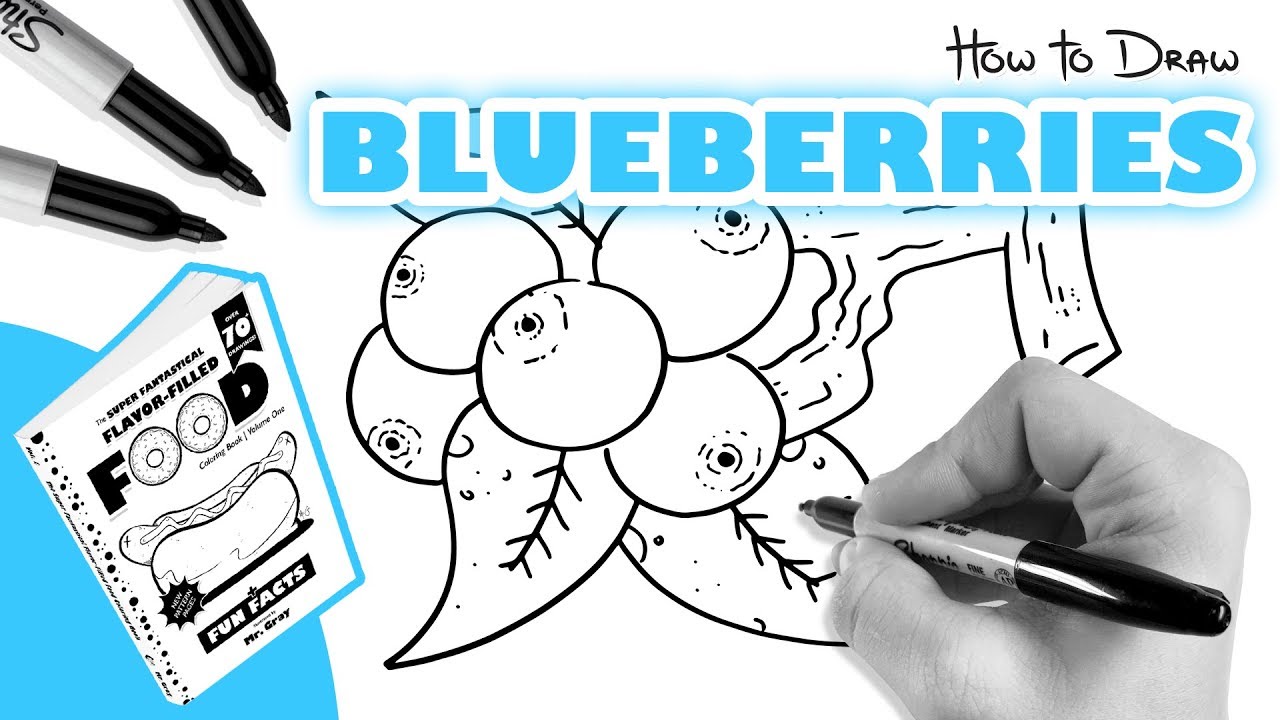 How To Draw Blueberries Youtube