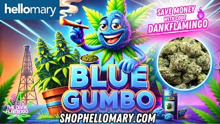 Smoking Up Blue Gumbo from Shop Hello Mary! The Dank Flamingo Review!!