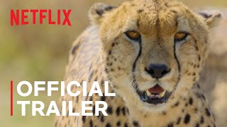 Animal | Official Trailer | Netflix