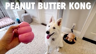 Kong dog toy with peanut butter - The Peachy Momo