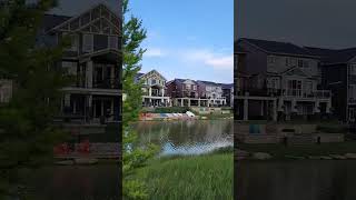 Beautiful Alberta! #shorts #shorts #shortvideo #beautiful #alberta #canada #viral #subscribe #fyp