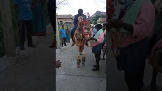 atmakuru dance horse 🐎👍🙏