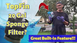 Top Fin/PetSmart Sponge Filter Review! 👍👍👍