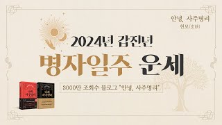 2024년 갑진년 병자일주 운세