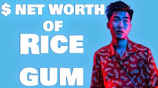 American youtuber Ricegum net worth , girlfriend, age