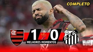 Flamengo 1 x 0 Santos (HD) TEVE GOLAÇO !! Melhores Momentos - BRASILEIRÃO 2019