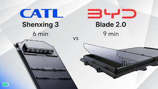 CATL Dominates on Paper, But BYD Owners Have an Advantage