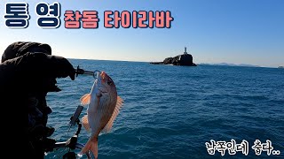 통영 3월 2일 참돔 타이라바 [2018미라클호]