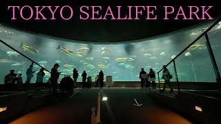 【東京都葛西】600種超の魚と水槽で泳ぐマグロ｜葛西臨海水族園 1.0