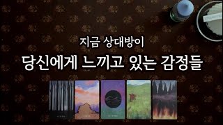 [타로] 지금 그 사람의 마음 속 깊은 감정들🦋 하고 싶은 말, 행동변화✨