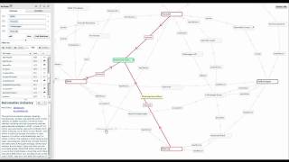 RelFinder screencast