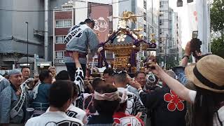 令和元年　湯島天満宮　天神祭　宵宮　天三町会　神輿渡御　2019.5.25　Yushima tenmangu