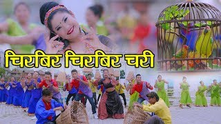 New Nepali Lok Song 2076 | चिरबिर-चिरबिर चरी/CHIRBIR CHIRBIR CHARI | Ft. Yagya Sapkota,Pratima