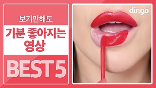 보기만해도 기분 좋아지는 영상 BEST 5