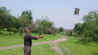 Shikra (2) Release 2018, in Lahore.