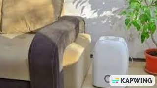 Do you leave windows open when using a dehumidifier