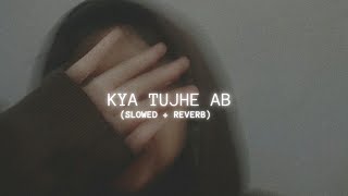 Kya Tujhe Ab Song Lofi (Slowed + Reverb) | Fallen Evening