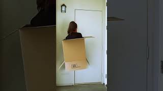 Disappearing Into Box Magic Trick Vfx