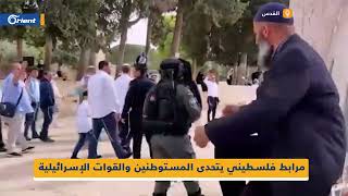 مرابط فلسطيني يصرخ في وجه المستوطنين المقتحمين لباحات #المسجد_الأقصى