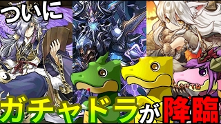 【パズドラ】 ガチャドラ降臨！！みんなで倒しにいこう！！！