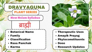 BRAHMI| Dravyaguna Plants Series |#bams2ndyear #plants #epilepsy #insane #apasmar#charak#braintonic