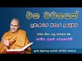 ඔබේ එක වචනයක් ප්‍රමාණවත් නිරයේ ඉපදීමට l ven. walpola gothama thero l walpolagothamathero bana