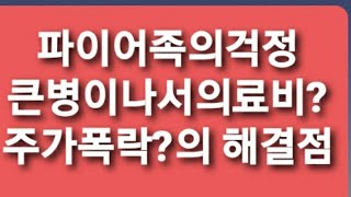 2021년 7월 10일 파이어족으로  조기은퇴를 결심한 부부의 고민  해결점 feat rpar ntsx