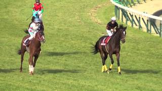 2015 スプリングS Spring Stakes キタサンブラッグ　ウイニング・ラン