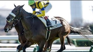 2歳新馬　 芝1600m (右 外 A)　ミラビリスマジック　牝2　55.0　田辺裕信　2023.12.17　　出走馬：ホークレア、ミッキーキャンドル、テセラリアン、エフォートレス、ドゥザキャッチ他