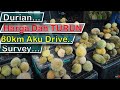 [ Durian ] Berapa HARGA Durian | Aku Memandu 80km, SINGGAH 8 Kedai JUAL Durian