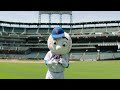 the mets are back on pix11