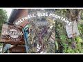 Blue Mountain Jamaica | Holywell Tour | New Castle