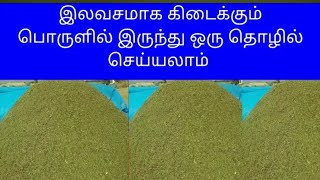 மூலப்பொருள் முற்றிலும் இலவசம் | அதிக அளவில் லாபம் | Recycling business | Business ideas | Easy tips|