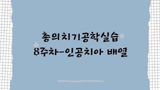 20200571 정가람 총의치기공학실습 8주차 인공치아 배열